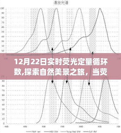 qiguisangong 第3页