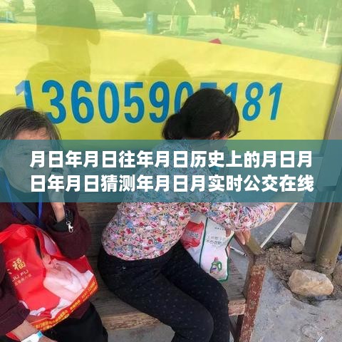 武平智能公交查询系统重塑出行体验，实时公交与月日探秘功能结合