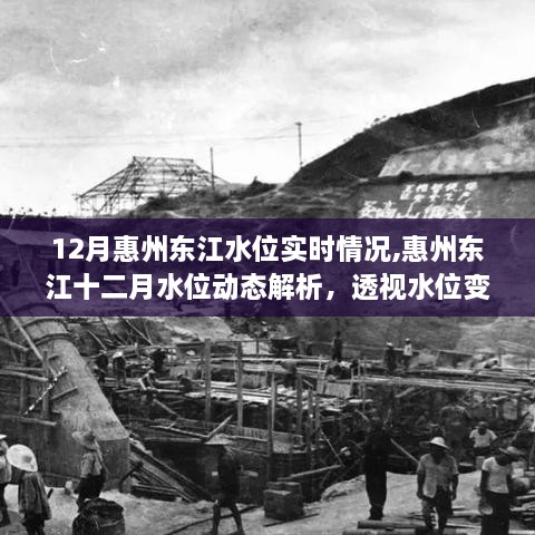 透视惠州东江水位变化，十二月实时情况及多重视角解析