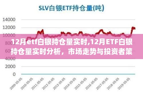 12月ETF白银持仓量实时分析，市场走势与投资策略探讨