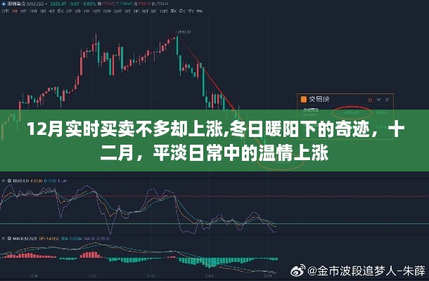 冬日暖阳下的股市奇迹，十二月平淡日常中的温情上涨