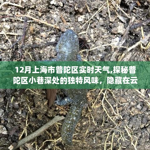 yinzhuicigu 第4页