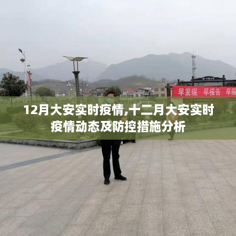 12月大安实时疫情动态，防控措施分析与实时更新