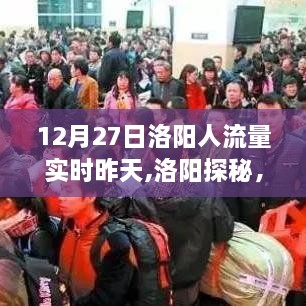 探寻洛阳心灵绿洲，12月27日人潮背后的自然之旅
