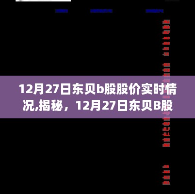 揭秘，东贝B股股价实时动态（12月27日）