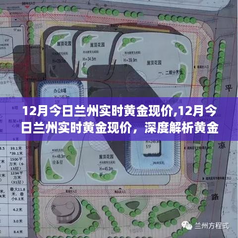 深度解析，兰州今日黄金市场走势与投资策略，实时金价更新
