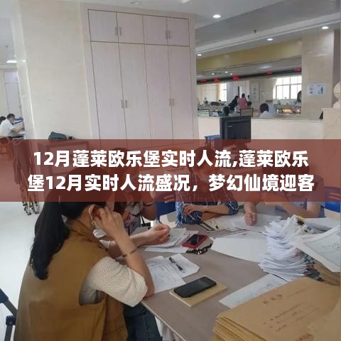 蓬莱欧乐堡梦幻仙境迎客高峰，12月实时人流盛况揭秘