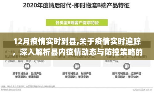 县内疫情实时追踪，动态分析与防控策略深度解析