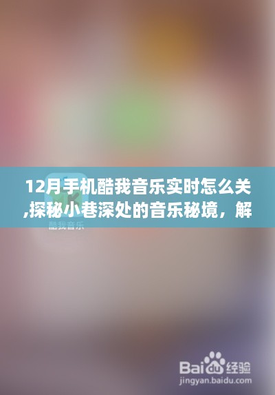 探秘小巷深处的音乐秘境，手机酷我音乐实时关闭指南