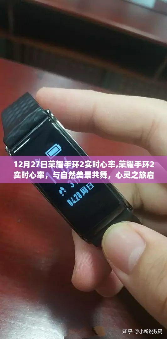 荣耀手环2实时心率监测，心灵之旅与自然美景的完美结合