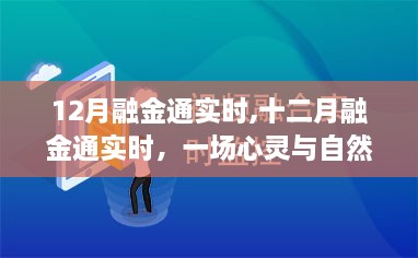 十二月融金通实时，心灵与自然的奇妙旅程