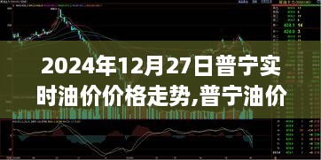 普宁油价走势分析，聚焦实时油价价格走势观点（2024年12月27日）
