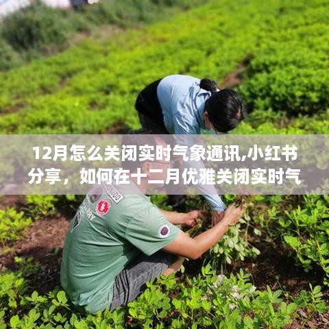 jianburongfa 第3页