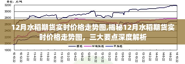 揭秘三大要点深度解析，12月水稻期货实时价格走势图及市场趋势分析