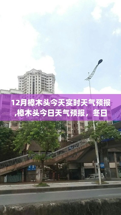 樟木头今日天气预报，冬日的暖阳与微风的邂逅