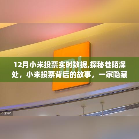 小米投票背后的故事，巷陌深处的小店奇妙时光揭秘