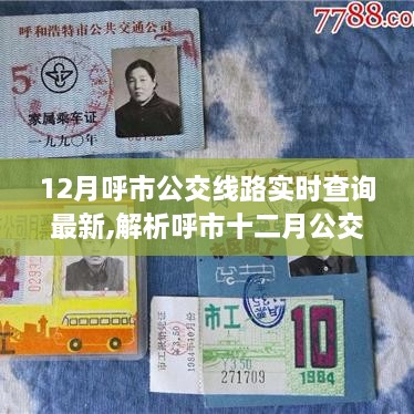 呼市公交实时查询系统解析，便捷与挑战并存的十二月公交路线查询最新动态