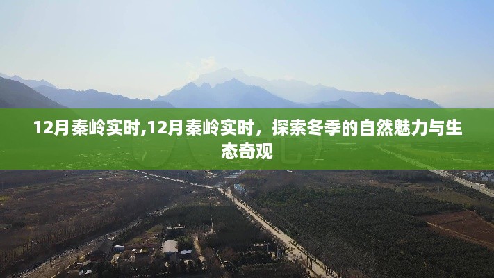 探索冬季秦岭的自然魅力与生态奇观实时报道