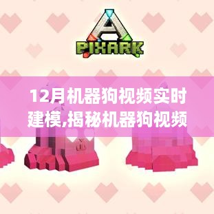 揭秘机器狗视频实时建模技术，前沿解析与操作要点探讨