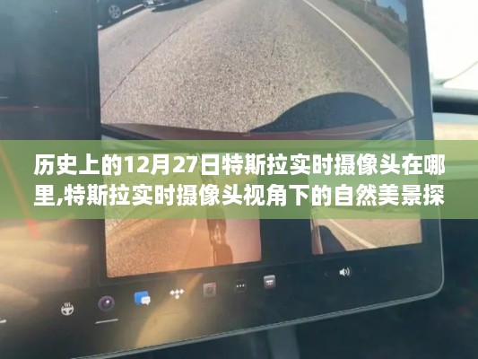 特斯拉实时摄像头视角下的自然美景探索之旅，寻找内心平静的奇妙旅程