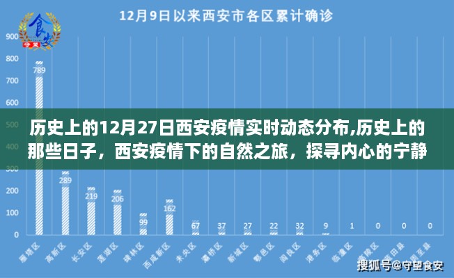 历史上的重要时刻，西安疫情下的自然之旅与内心力量的探寻