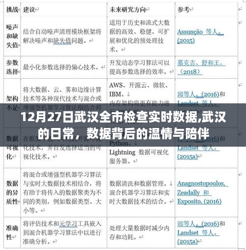武汉全市实时检查数据背后的温情与日常陪伴，12月27日观察