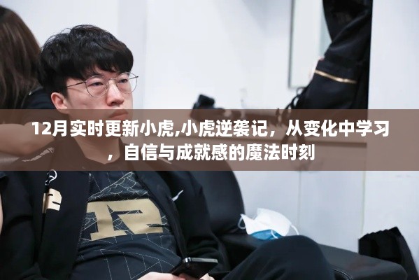 小虎逆袭记，自信成长的魔法时刻与实时更新之路