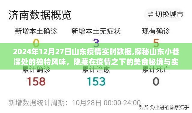 山东疫情实时数据与美食秘境探秘，小巷深处的独特风味（XXXX年XX月XX日）