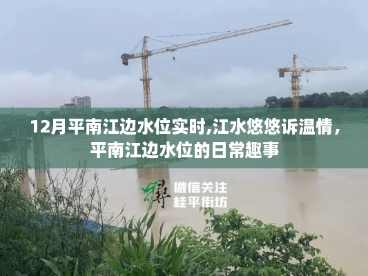 平南江边水位的日常趣事与温情脉脉的江水悠悠诉语