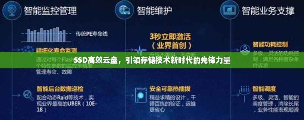 SSD高效云盘，引领存储技术新时代的先锋力量