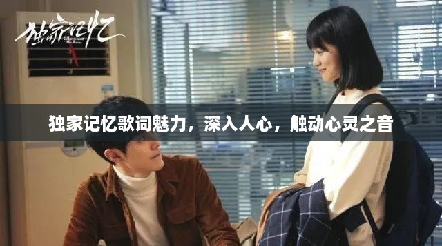 独家记忆歌词魅力，深入人心，触动心灵之音
