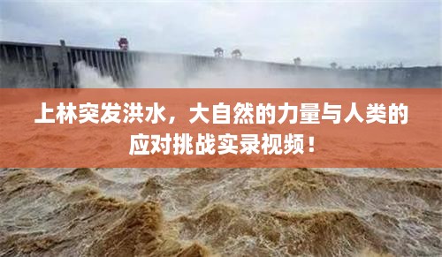 上林突发洪水，大自然的力量与人类的应对挑战实录视频！