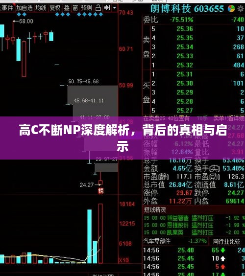 高C不断NP深度解析，背后的真相与启示