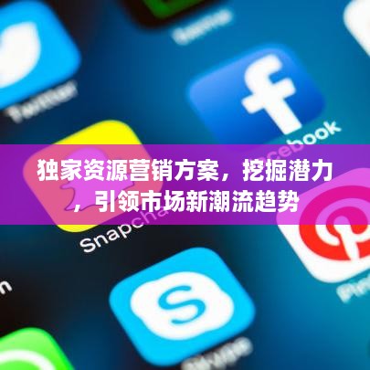 独家资源营销方案，挖掘潜力，引领市场新潮流趋势