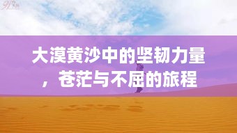 大漠黄沙中的坚韧力量，苍茫与不屈的旅程