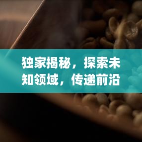 独家揭秘，探索未知领域，传递前沿资讯快报