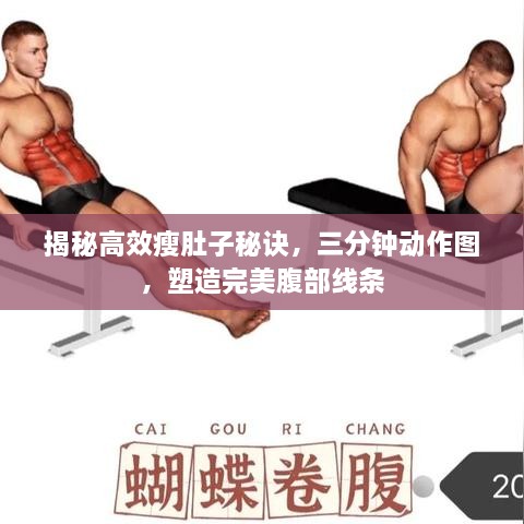 揭秘高效瘦肚子秘诀，三分钟动作图，塑造完美腹部线条