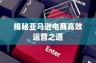 揭秘亚马逊电商高效运营之道