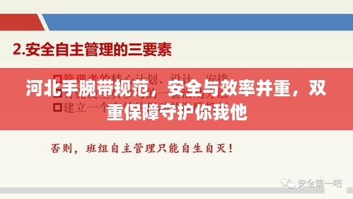 河北手腕带规范，安全与效率并重，双重保障守护你我他