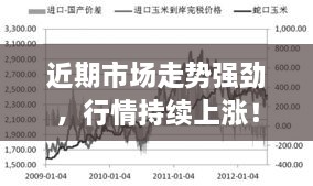近期市场走势强劲，行情持续上涨！