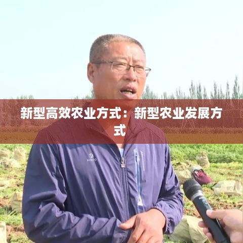 新型高效农业方式：新型农业发展方式 