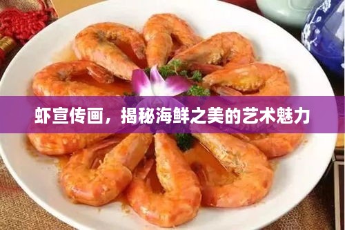 虾宣传画，揭秘海鲜之美的艺术魅力