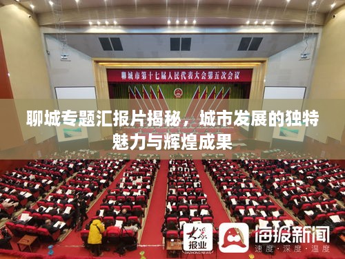 聊城专题汇报片揭秘，城市发展的独特魅力与辉煌成果
