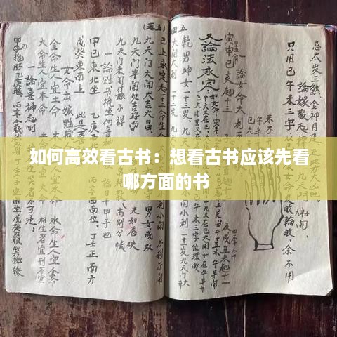 feiqiangzoubi 第3页