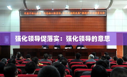 强化领导促落实：强化领导的意思 