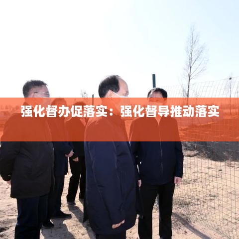 强化督办促落实：强化督导推动落实 