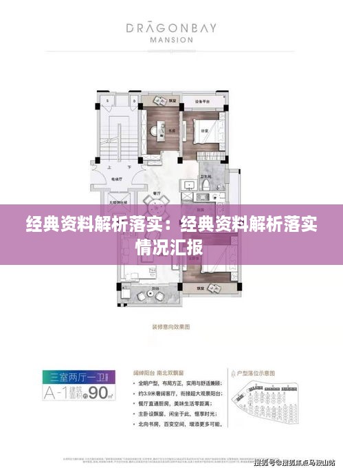 经典资料解析落实：经典资料解析落实情况汇报 