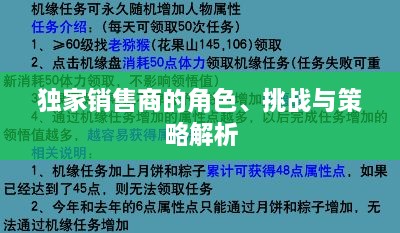 独家销售商的角色、挑战与策略解析
