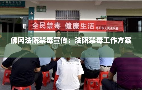 佛冈法院禁毒宣传：法院禁毒工作方案 
