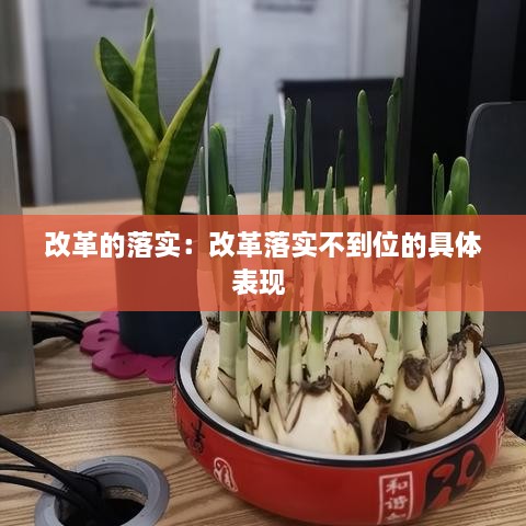 改革的落实：改革落实不到位的具体表现 